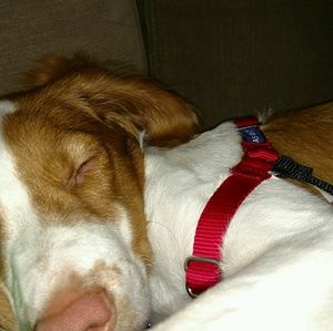 Meet your Posher, William